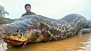 15 Deadliest Amazon River Monsters