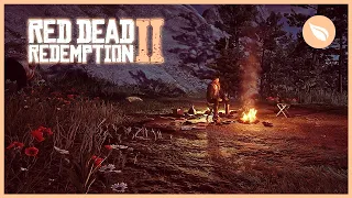 RDR2 Camping with Hosea | Red Dead Redemption 2 Nature Ambience | 1 HOUR