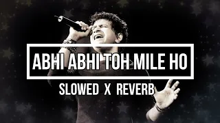 Abhi Abhi Toh Mile Ho Slowed and Reverb | Jism 2 | KK | Sunny Leone, Randeep Hooda, Arunnoday Singh