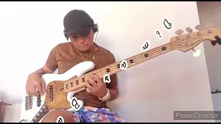 Limão com mel/por que não ver #forrodasantigas-bass cover