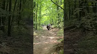 Guy FLIPS Banshee on 1 wheel SOMEHOW SAVES IT! (EPIC SAVE!) #yamaha #banshee #epic