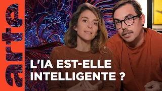 Qu'est ce que l'intelligence ? | Les idées larges | ARTE