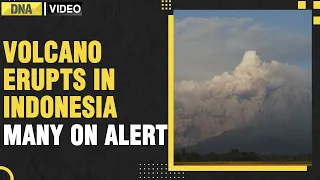 Indonesia: Volcano erupts on Java island, raises alert to highest level  Semeru volcano | DNA India