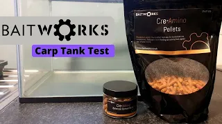 Carp Tank - The Baitworks Review