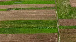 Fields eastern Ukraine Поля біля Нового Роздолу