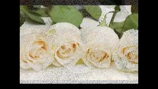 Белые розы / White Roses / Białe Róże (задавка)