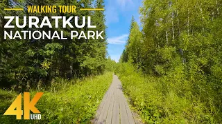 Relaxing Nature Walk in Zuratkul National Park in 4K - Hiking & Listening to Summer Forest Sounds