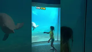 This little girl shared a beautiful memory with a dolphin ❤️ #shorts