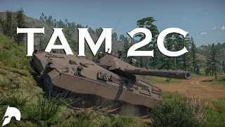 Don't Ignore It | Tam 2C - War Thunder