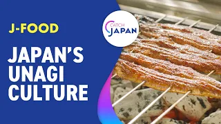 Japan's Comfort Food "Unagi Eel"