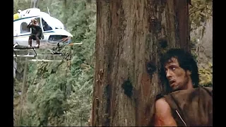 Can You Hide Behind A Tree From Gunfire? (Like Rambo)
