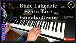 Białe łabędzie HIT NOWOŚĆ 2020 Szatix Live Yamaha Genos