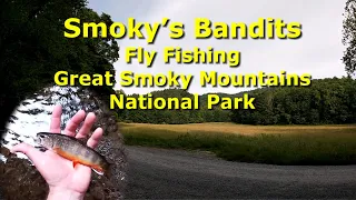 Smoky's Bandits -  Fly Fishing the Great Smoky Mountain National Park for Trout