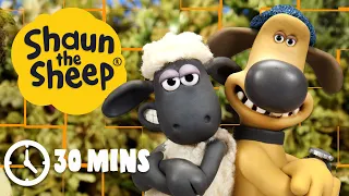Shaun the Sheep Season 4 Compilation (Full Episodes 6-10)