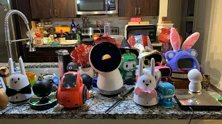 Jibo and Friends - Cinco de Mayo in Style