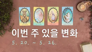 [타로/주간운세] 5월 넷째 주 종합운(5. 20. ~ 5. 26.)