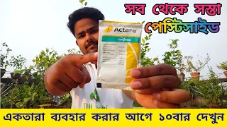 একতারা কীটনাশকের সঠিক ব্যবহার | Actara Pesticide for Hibiscus plant | Best Insecticide in market