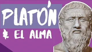 PLATÓN: la 💀 INMORTALIDAD del #ALMA😲