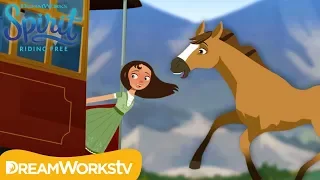 Fast Friends: Lucky & Spirit Meet for the FIRST Time! | SPIRIT RIDING FREE