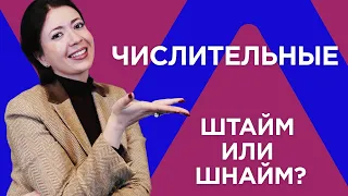 Учим числительные. ИВРИТ с Сашей Эпштейн для начинающих. УРОК #17