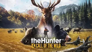 СПОКОЙНЫЙ НОЧНОЙ СТРИМ/ОХОТА НА МЕДВЕДЯ ► theHunter: Call of the Wild #2