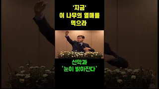 '선악과 나무의 열매를 먹으라'(?) shorts