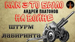 Как это было на Войне:ШТУРМ ЛАБИРИНТА(автор:Андрей Платонов)