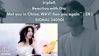 tripleS Reaction with Gio Met you in China, WAV! See you again~ | EN | SIGNAL 240501