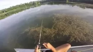 Northern Pike Fishing with Spinnerbaits