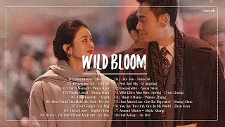 Full OST || Wild Bloom OST || 风吹半夏 OST