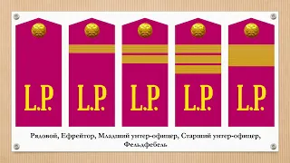 Знаки различия Польского легиона Российской императорской армии