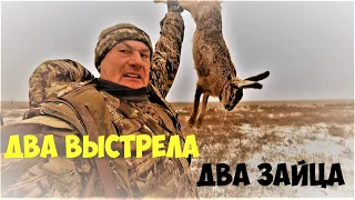 Охота на зайца "подковой" от первого лица. Коллективная охота. Hare hunting in the first person.