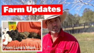 Farm Updates - Including an Update from Luna’s Mum