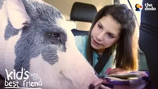 Girl's BFFs Are Two Pigs — Who Act Just Like Dogs | The Dodo Kid's Best Friend