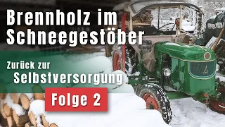 So heizen wir günstig 2023. Brennholz sägen im Schnee mit Deutz D3005 und Wippsäge. #2