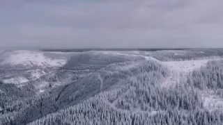 Teaser Black Forest Winter (4K)