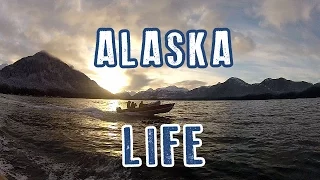 Southeast Alaska | Deer Hunting | First Person View