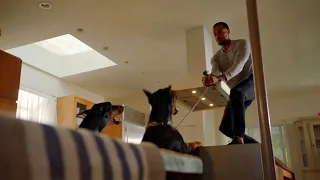 (Ganzes Video) Mann wird zu Hause von 2 Hunden angegriffen 🐶