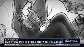 What is the Blue Whale Challenge?