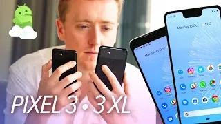 Google Pixel 3 / 3 XL Review: BETTER than you think