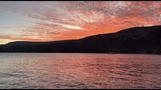 SCUBA DIVE the Socorro Islands (Revillagigedo Archipelego)