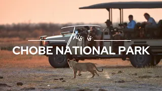 Chobe National Park, Botswana | Safari365