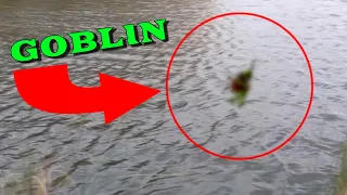 Top 5 REAL GOBLIN Sightings Actually Caught On Camera