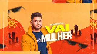 FORROZÃO - VAI MULHER | DJ MELK