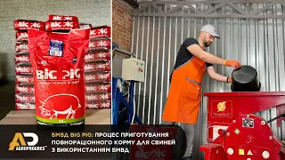 Як приготувати повнораціонний корм для свиней з БМВД?