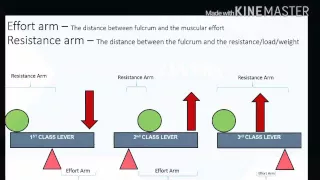 Levers - mechanical advantages and disadvantages