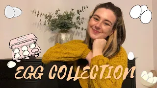 IVF CYCLE #3 | egg collection update, chatty video!