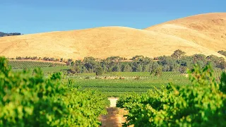 Долина Баросса(Barossa Valley) Австралийский Шираз Penfolds Grange Hermitage