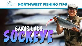 Baker Lake Sockeye Fishing 101