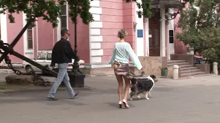 Пранки с животными Ржал до слез Best Of Animal Pranks @NashestviePrankov